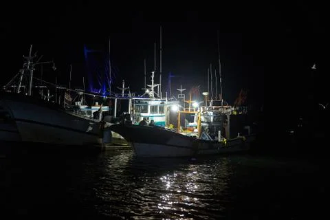 Fishing scenery. Stock Photos