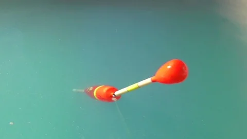 Fishing series  [1] Float floats on water Stock Footage 124542728