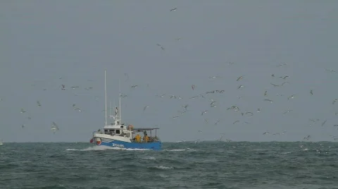 Fishing ship near the cliffs 2 Vidéo 794842