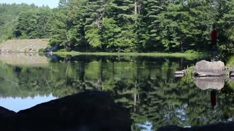 Fishing From Shore At The Pond Stock Footage 11186533