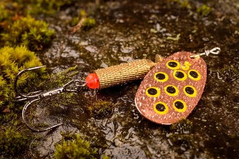 Fishing spoon lure on wet stone with moss Stock Photos