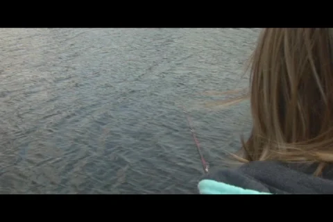 Fishing step 4  Stock Footage 386166