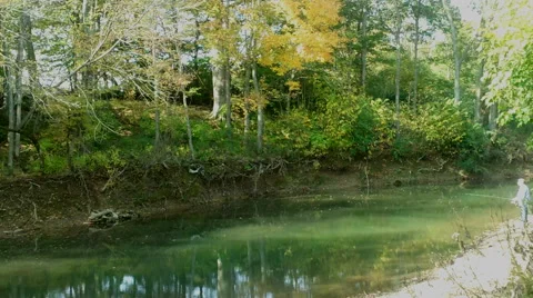 Fishing in the Stream Stock Footage 43073450
