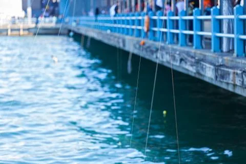 Fishing strings on Galata bridge Stock Photos