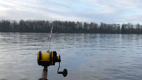 Fishing sturgeon in Canada. 库存影片 74677771