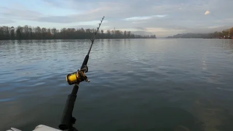 Fishing sturgeon in Canada. 스톡 동영상 74677842