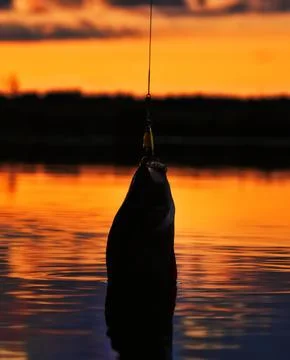 Fishing at sunset Stock Photos