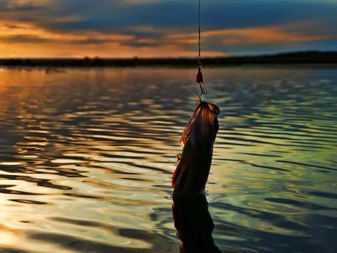Fishing at sunset Stock Photos