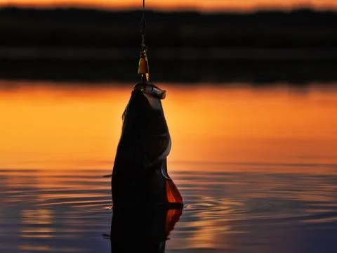 Fishing at sunset Stock Photos