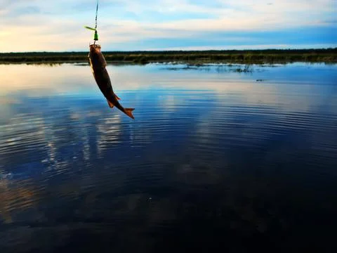 Fishing at sunset Stock Photos