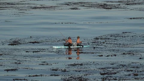 Fishing from a surfboard, Vídeos de archivo 311609376