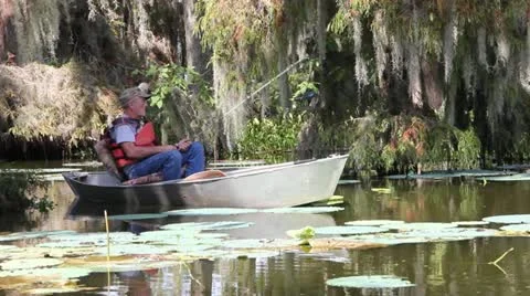 Fishing in Swamp Stock Footage 12351325