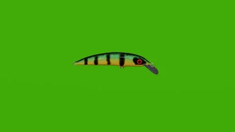 The fishing tackle for catching fish rotates on the green screen. Stock Footage 279802326