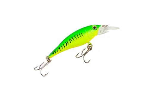 Fishing tackle Stock Photos