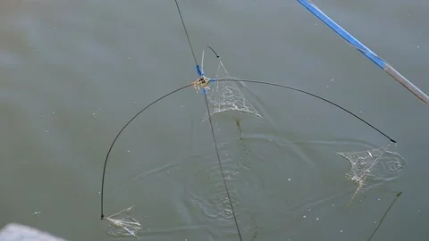 Fishing tackle "spider" Stock Footage 152112894