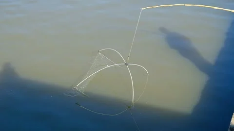 Fishing tackle "spider" Stock Footage 152112909