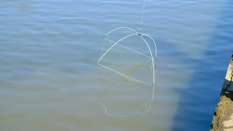 Fishing tackle "spider" Stock Footage 152113669