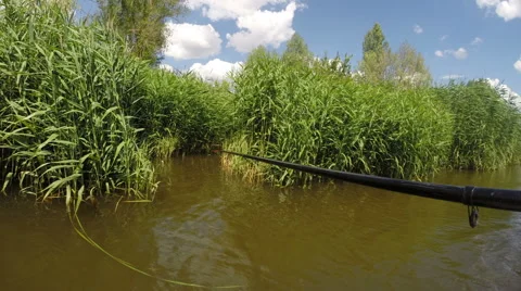 Fishing in the thicket Stock Footage 40302955