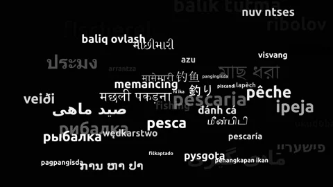 Fishing Translated in 53 Worldwide Languages Endless Looping 3d Zooming Wordc Stockbeeldmateriaal 145203259