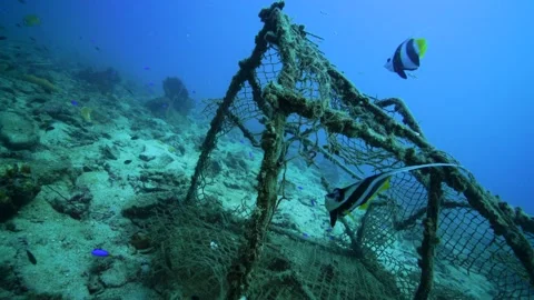 Fishing trap Stock Footage 158191748