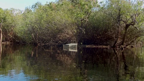 Fishing trap Stock Footage 209865177