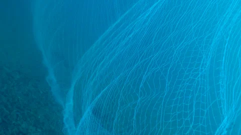 Fishing Trap Net Set on the Sea Floor Stock Footage 144670064