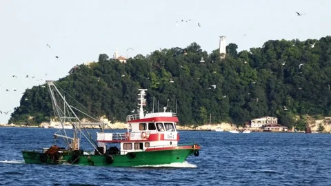 Fishing Trawler “Ereo-2” Returning with Flock of Seagulls Vídeo Stock 322151167