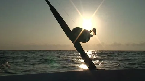 Fishing Trip Stock Footage 7136808