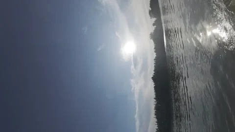 Fishing trip Stock Footage 310952279