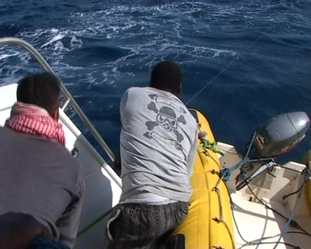 Fishing tuna Stock Footage 458698