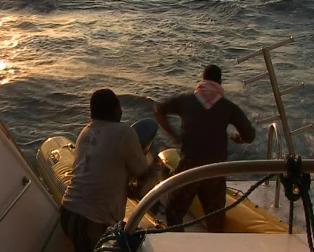 Fishing tuna on sunset Stock Footage 458722