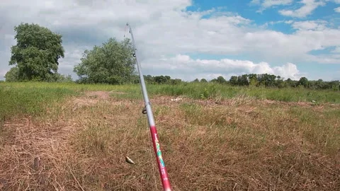 Fishing in Ukraine in spring. Perch. 動画素材 242569026