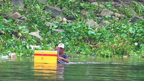 Fishing using a fishing net . Stock Footage 346084718