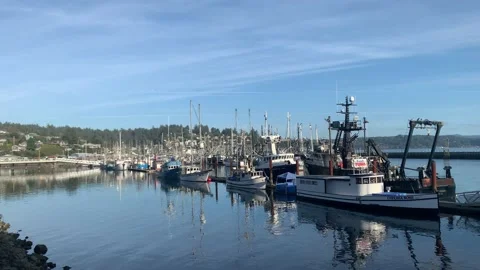 Fishing Vessels With Diffuse Reflection Water At Port Of Newport In Stock Footage 165332547