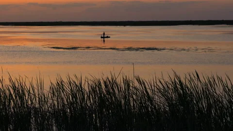 FISHING IN WETLANDS Stock Footage 228740241