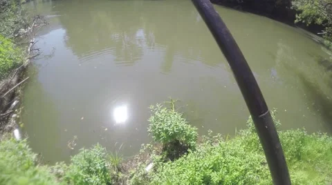 Fishing in the wild Stock Footage 67880223