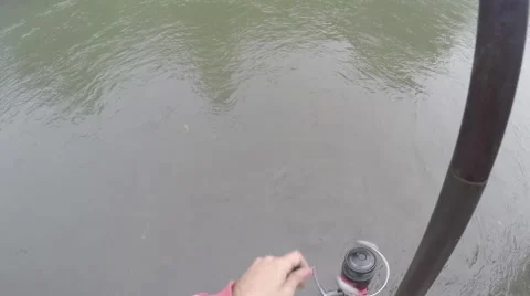 Fishing in the wild Stock Footage 67880665