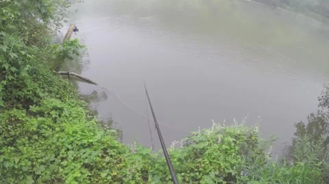Fishing in the wild Stock Footage 67987077