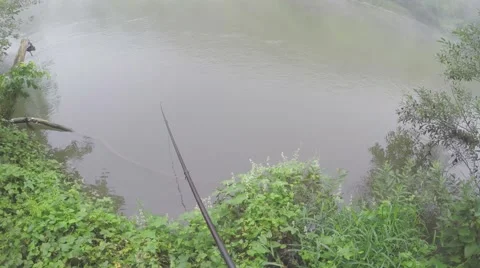 Fishing in the wild Stock Footage 67987525