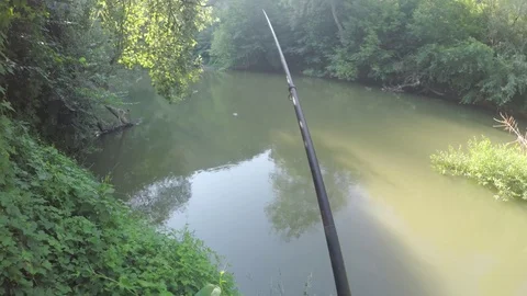 Fishing in the wild.Fishermen Catch Fish Stock Footage 78865875