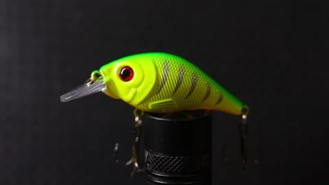 Fishing wobblers for predatory fish of various colors and patterns Stock Footage 331449527
