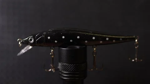 Fishing wobblers for predatory fish of various colors and patterns 動画素材 331449789