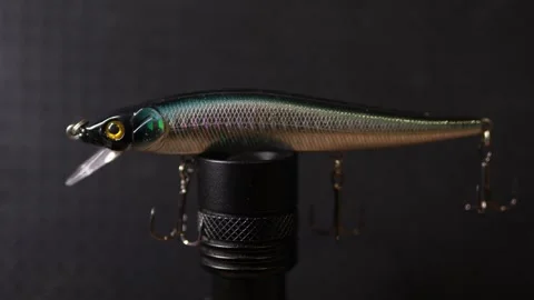 Fishing wobblers for predatory fish of various colors and patterns Stock Footage 331449795