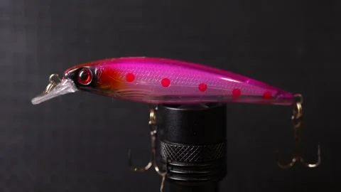 Fishing wobblers for predatory fish of various colors and patterns 動画素材 331449834