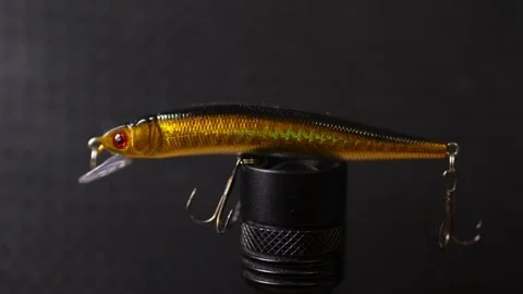 Fishing wobblers for predatory fish of various colors and patterns Stock Footage 331449872