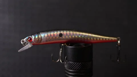 Fishing wobblers for predatory fish of various colors and patterns 動画素材 331450117