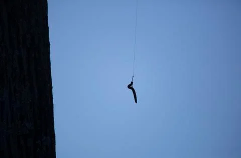 Fishing Worm Stock Photos