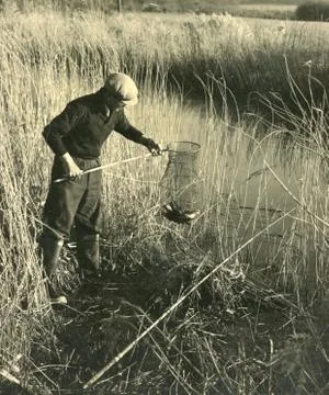 Fishing,1970s Fotos de archivo