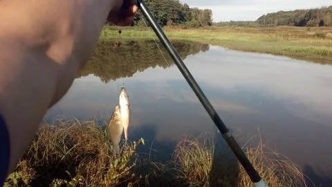 Fishing2 Stock Photos