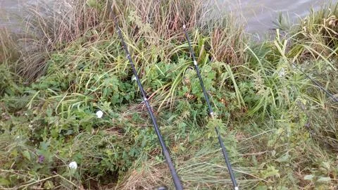 Fishing3 Stock Photos